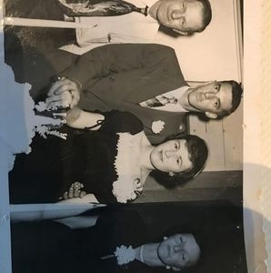 Meet your Posher, Ginger